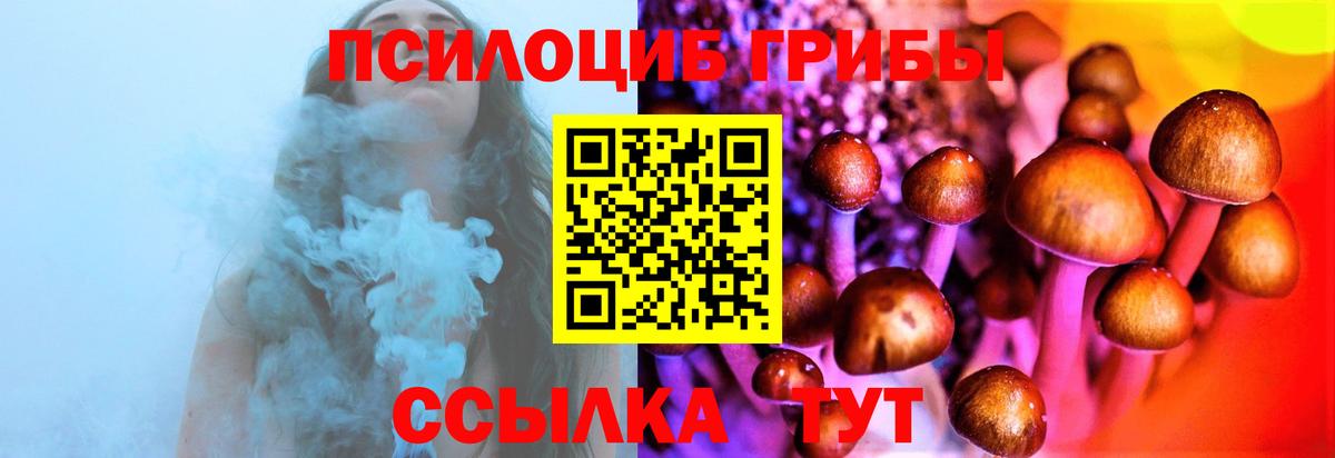 Татарск  Псилоцибиновые грибы GOLDEN TEACHER  Вход с VPN  Галлюциногенные грибы ЛСД 